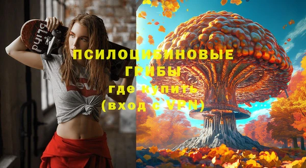 спиды Алзамай