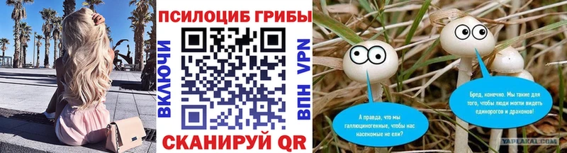 Галлюциногенные грибы Psilocybine cubensis  Алексин 