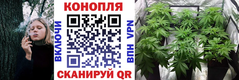 Каннабис Bruce Banner Алексин